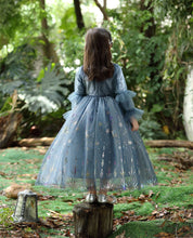 Carregar imagem no visualizador da galeria, Vestido estilo Elsa de Frozen azul gamuzado con lentejuelas y falda de tul
