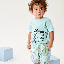 Carregar imagem no visualizador da galeria, Remera y short con estampas de dino verde agua
