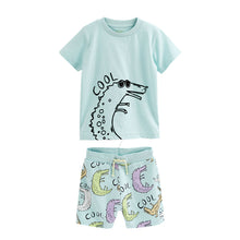 Carregar imagem no visualizador da galeria, Remera y short con estampas de dino verde agua
