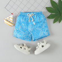 Carregar imagem no visualizador da galeria, Traje de baño celeste con estampas de estrellas del mar
